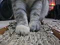 Thumbnail for version as of 07:36, 8 June 2008