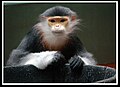 Thumbnail for version as of 23:29, 24 April 2008