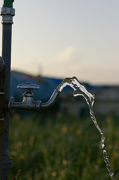 File:Memories of summer.jpg