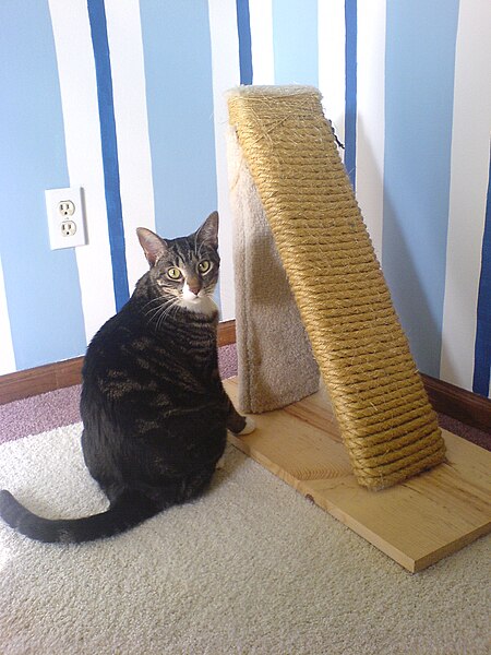 File:Homemade scratching post.jpg