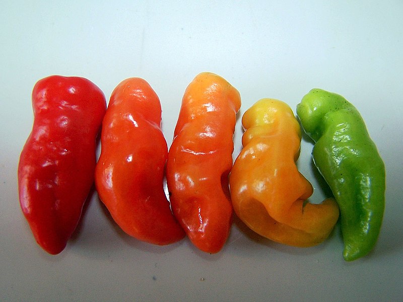 File:Pimentas.jpg