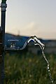 tap