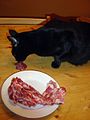 Cat feeding on pork neck
