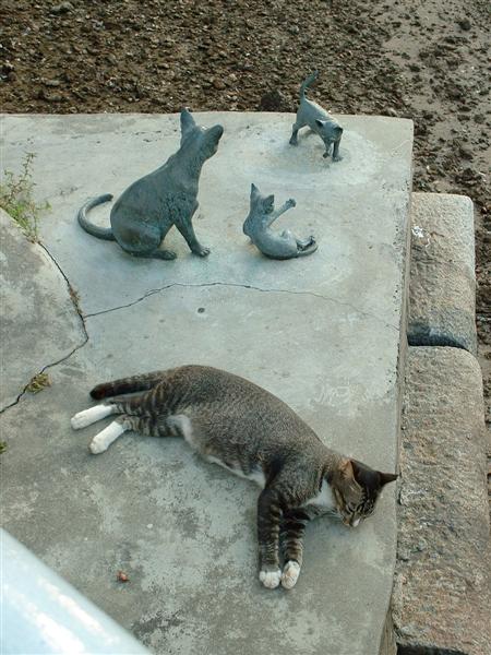 File:Real Cat with Cat Statue.jpg
